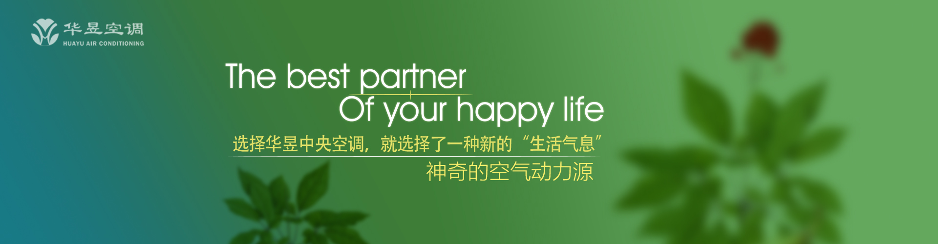 欣欣向荣网